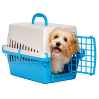 Cage Transport Chien - Caisse de transport pour chiens