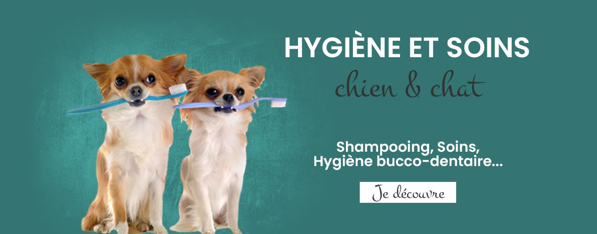 Hygiène et soins pour chien et chat : L'Exotus